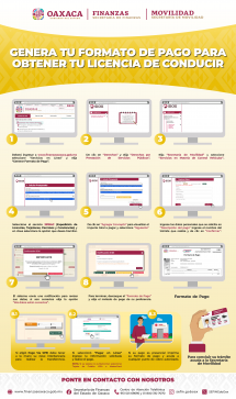 GUÍA FORMATO DE PAGO PARA OBTENER LICENCIA PARA CONDUCIR